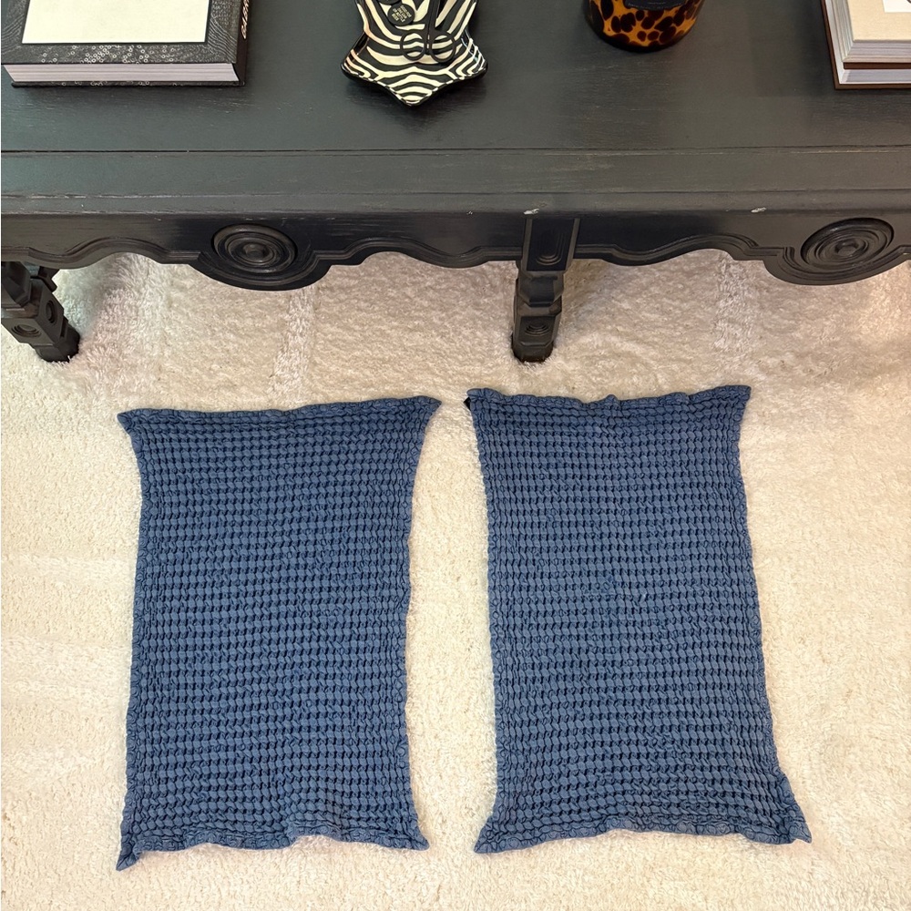 Rachel Zoe Set of 2 Blue Waffle Knit Hand Towels